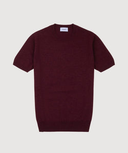 Short Sleeve Cashmere Sweater
